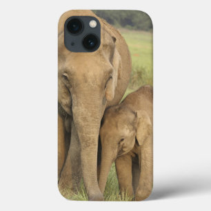 インド/アジアゾウおよび若者1、Corbett iPhone 13ケース