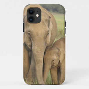 インド/アジアゾウと子供、コーベット iPhone 11 ケース