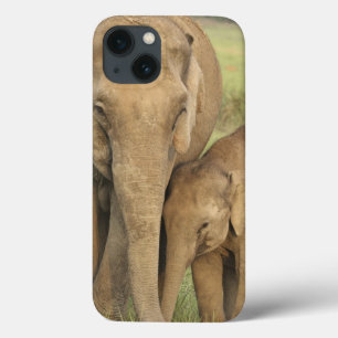 インド/アジアゾウと子供、コーベット iPhone 13ケース