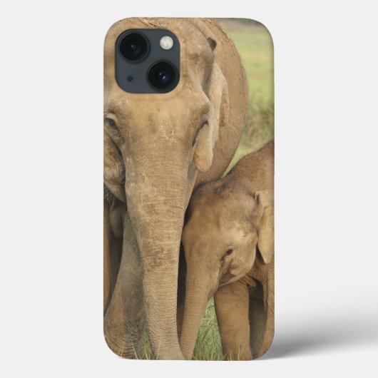 インド/アジアゾウと子供、コーベット Case-Mate iPhoneケース (裏面)