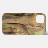インド/アジアゾウと子供、コーベット Case-Mate iPhoneケース (裏面 (横))