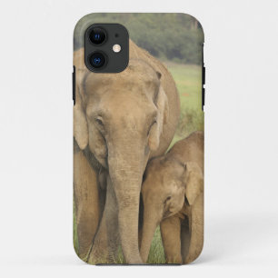 インド/アジアゾウと子供、コーベット iPhone 11 ケース
