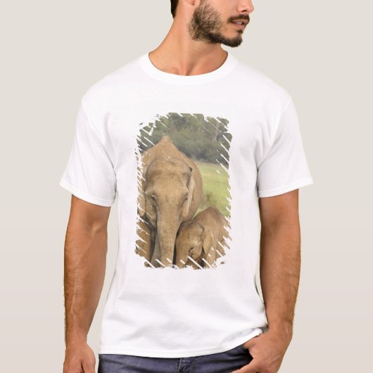 インド/アジアゾウと子供、コーベット Tシャツ (正面)