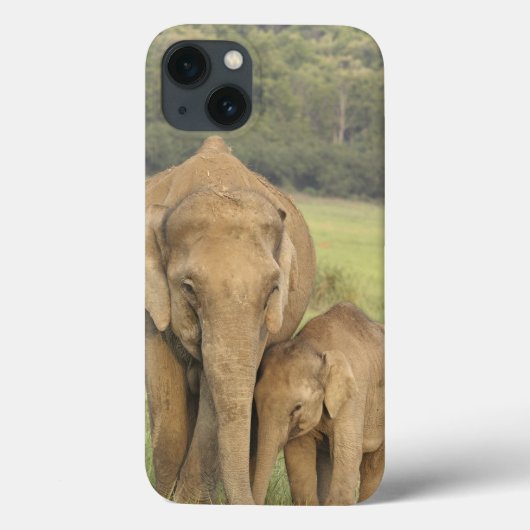 インド/アジア象と子供、コルベット Case-Mate iPhoneケース (裏面)