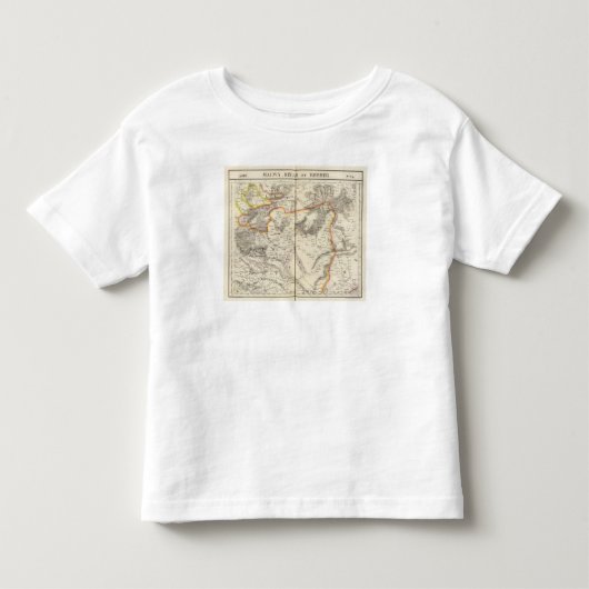インド、アジア94 トドラーTシャツ (正面)