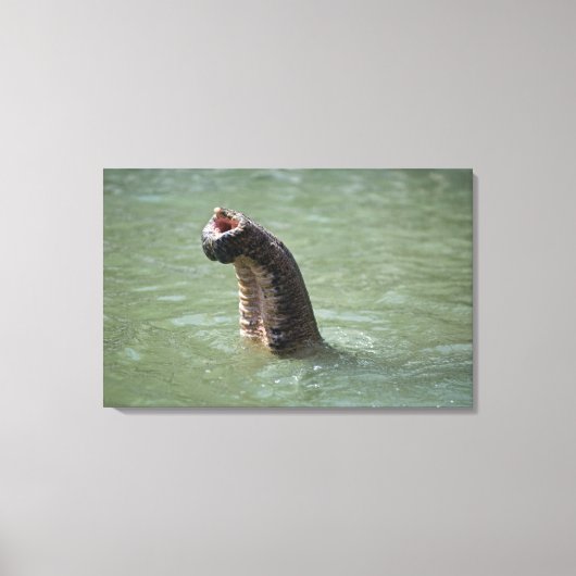 インド・ウタランチャル州コルベット国立公園 キャンバスプリント (正面)