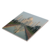 インド、ウッタル·プラデシュ、アグラ：モーニング·タジ·マハル タイル (側面)