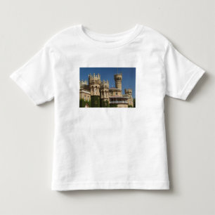 インド、カナタカ州、バンガロール:バンガロール宮殿 トドラーTシャツ
