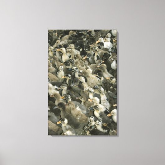 インド キャンバスプリント (正面)