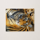 インド、サワイ・マドプール、ランタムボア・ナショナル ジグソーパズル (横)