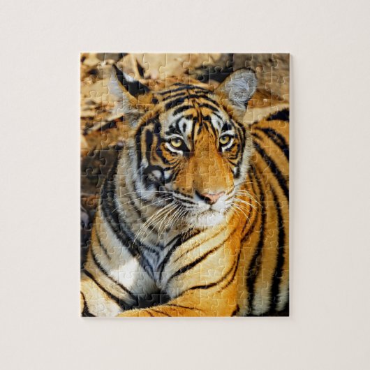 インド、サワイ・マドプール、ランタムボア・ナショナル ジグソーパズル (縦)