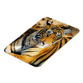 インド、サワイ・マドプール、ランタムボア・ナショナル マグネット (左側)