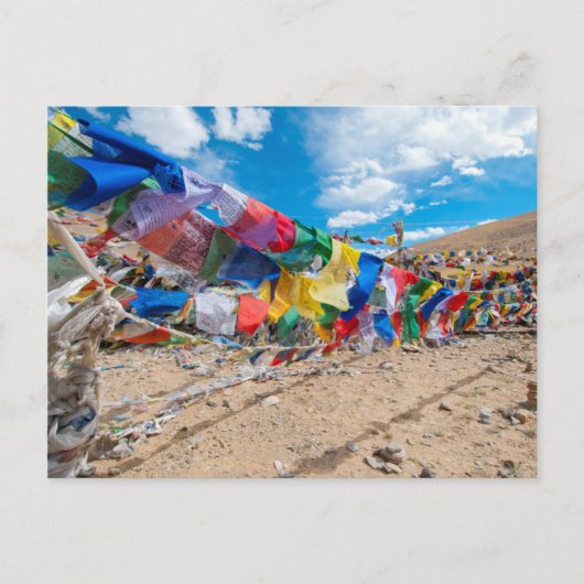 インド、ジャム&カシミール、ラダック、ナムシャングラパス ポストカード (正面)