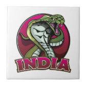 インド タイル (正面)