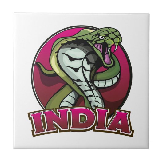 インド タイル (正面)