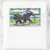 インド・チャーリー・レシートで羽ばたき 長方形シール (バッグ)