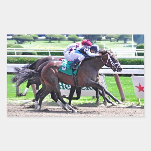 インド・チャーリー・レシートで羽ばたき 長方形シール (正面)