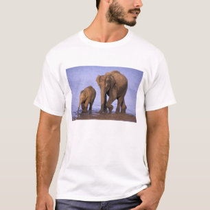 インド、ナガホール国立公園。アジアゾウ Tシャツ