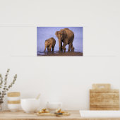 インド、ナガルホール国立公園。アジアゾウ ポスター (キッチン)