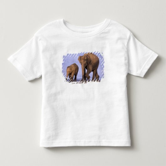 インド、ナガールホール国立公園。アジアゾウ トドラーTシャツ (正面)