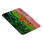 インド，ニューデリー マグネット (右側)