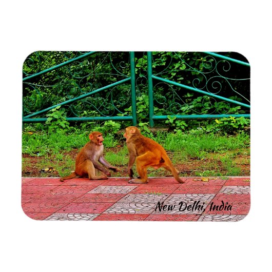 インド，ニューデリー マグネット (横)