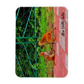 インド，ニューデリー マグネット (縦)