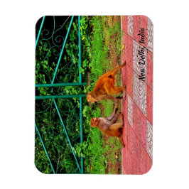 インド，ニューデリー マグネット