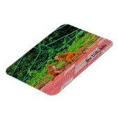 インド，ニューデリー マグネット (左側)