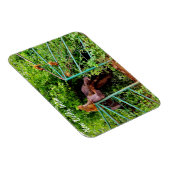 インド，ニューデリー マグネット (右側)