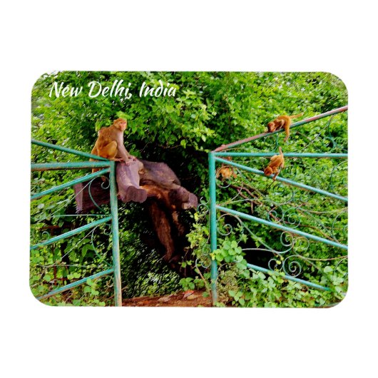 インド，ニューデリー マグネット (横)