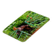 インド，ニューデリー マグネット (左側)