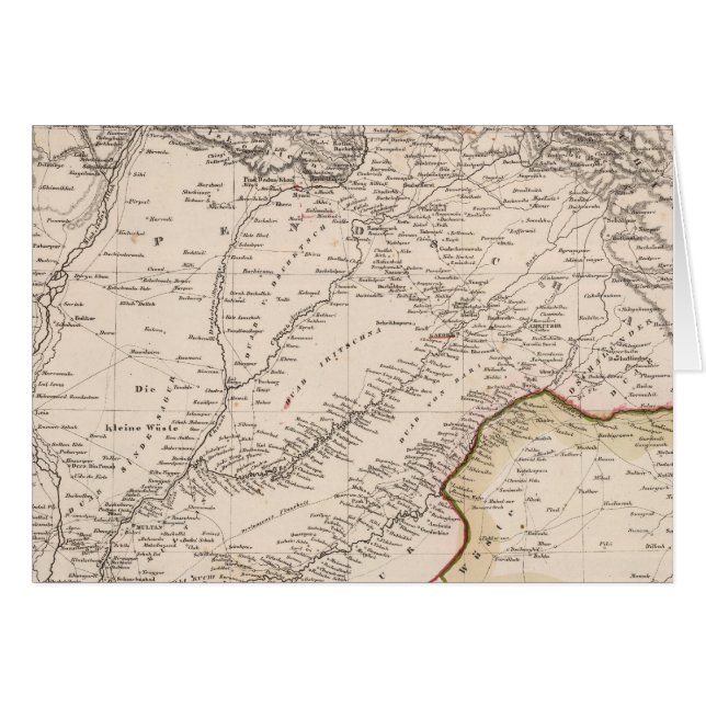 インド、パキスタン (正面横)