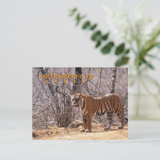 インド ポストカード (スタンド正面)
