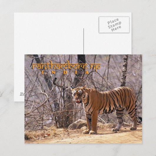 インド ポストカード (正面/裏面)