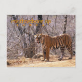 インド ポストカード (正面)