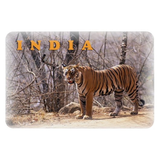 インド マグネット (横)