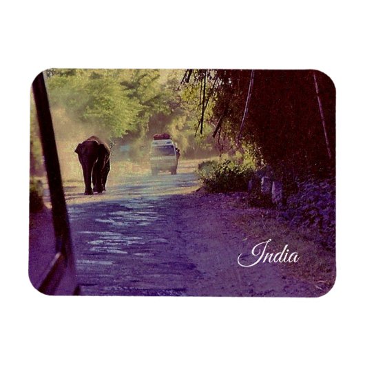 インド マグネット (横)