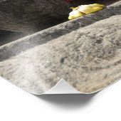 インド、マンガロール、カルカラ。ジャイン教 フォトプリント (角)