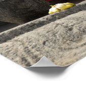 インド、マンガロール、カルカラ。ジャイン教 ポスター (角)