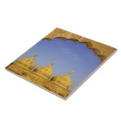 インド、ラジャスタン、ジャイサルマー。砂岩ドーム タイル (側面)