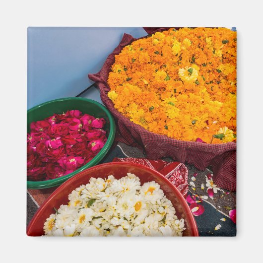 インド、ラジャスタン、ピパール マグネット (正面)