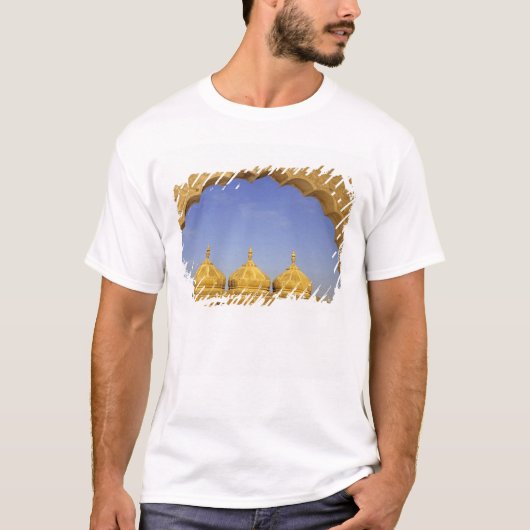 インド、ラージャスターン州、ジャイサルメール。砂岩のドーム Tシャツ (正面)
