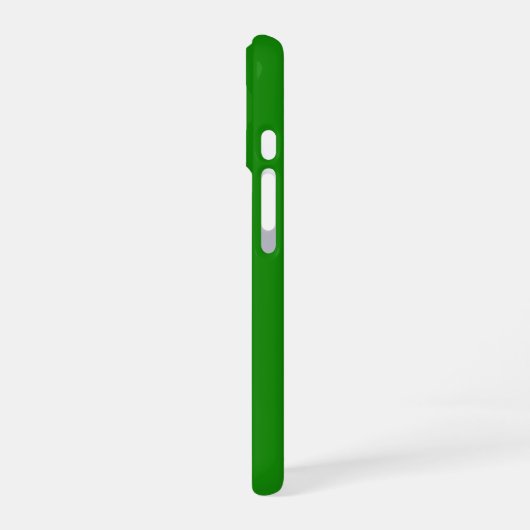 インド iPhone 16ケース (左側面)