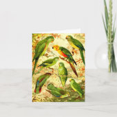 インパケツ、ハッピーバースデー カード (正面)