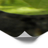 インパティエンズダークピンクプリント ポスター (角)