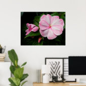 インパティエンズピンクホワイトポスター ポスター (ホームオフィス)