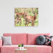 インパラオカヴァンゴデルタ キャンバスプリント (インサイチュ (リビング))