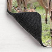 インパラオカヴァンゴデルタ マウスパッド (コーナー)