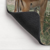 インパラスオンザセレンゲティ マウスパッド (コーナー)